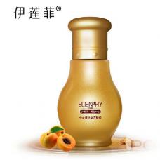 ���� ȫ�� ���w