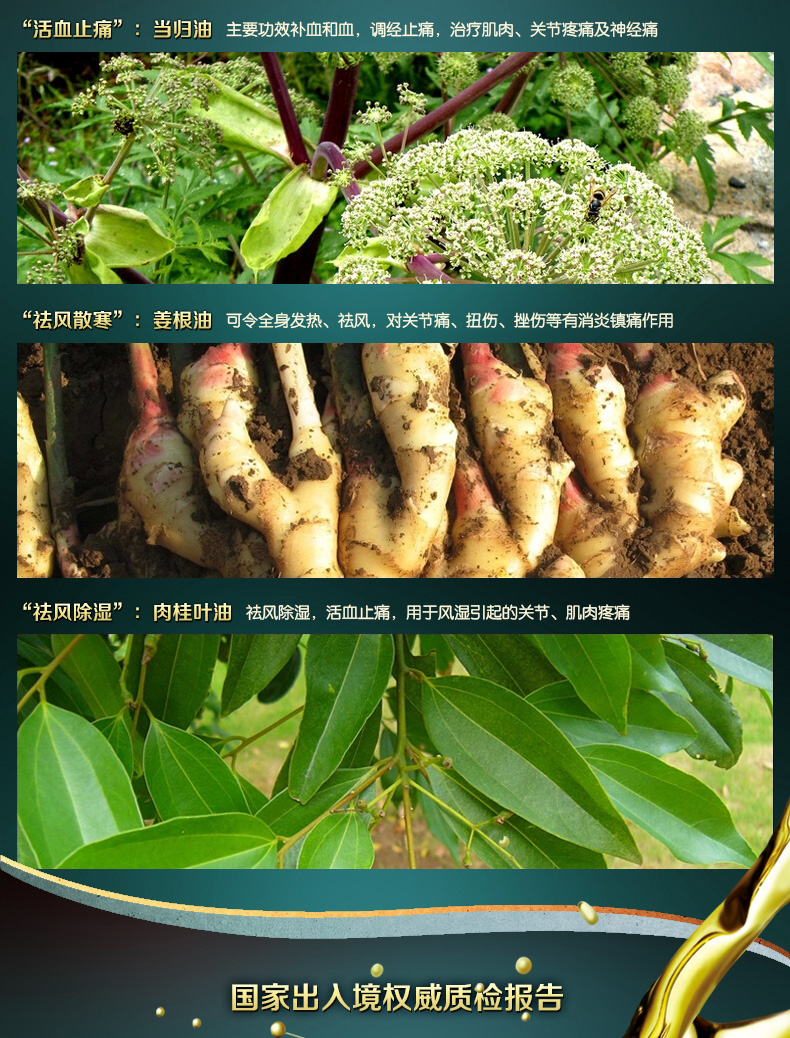  ��j(lu��)��Ħ����Ԕ��2_02